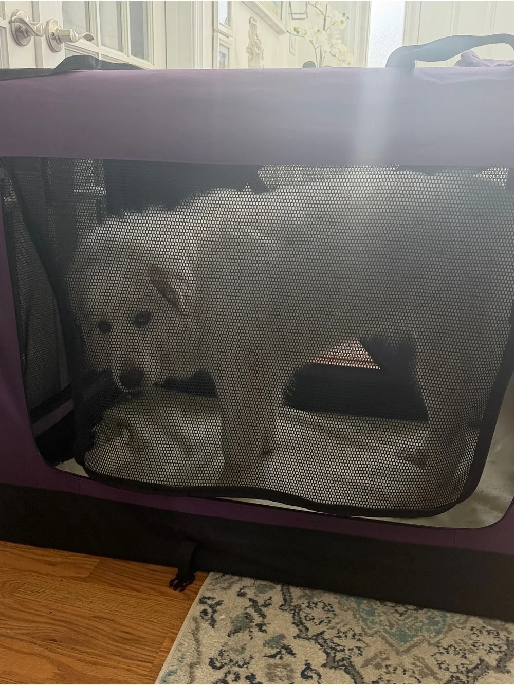 Purple Soft-Sided Pet Crate with Mesh Panels